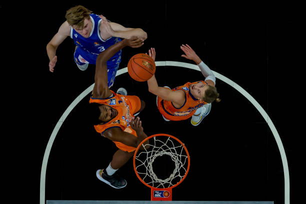 不仅展示了 不仅展示了